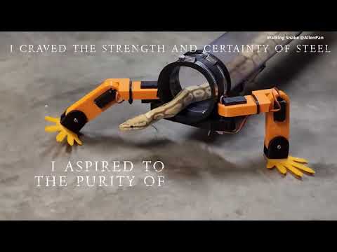 Snake learns to use Exo-Skeleton