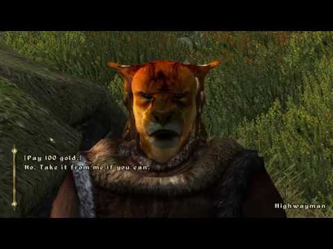 Khajiit gaslighting a thievery